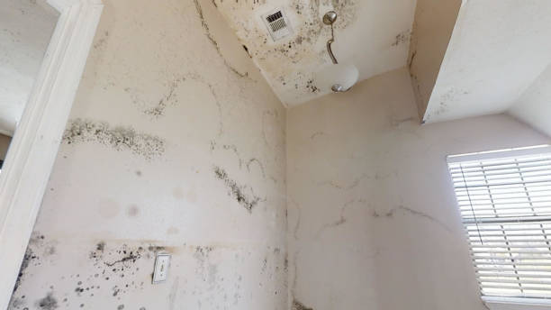 Best Indoor Air Quality Assessment  in Oakland, OR