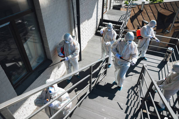 Environmental Consulting for Mold Prevention in Oakland, OR