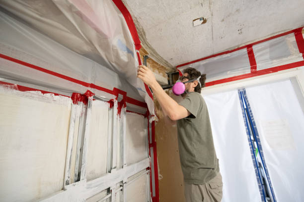 Best Air Quality Testing for Mold Spores  in Oakland, OR