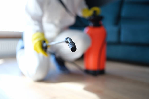 Best Emergency Mold Remediation  in Oakland, OR